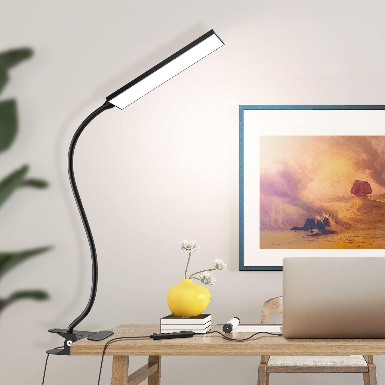 LED Desk Lamp with Eye-Caring LED Light and Metal Clip, 11 Level Brightness 3 Color Modes, Power by USB Port 5W Flexible Gooseneck Reading Light for Home and Office (5W, Black)